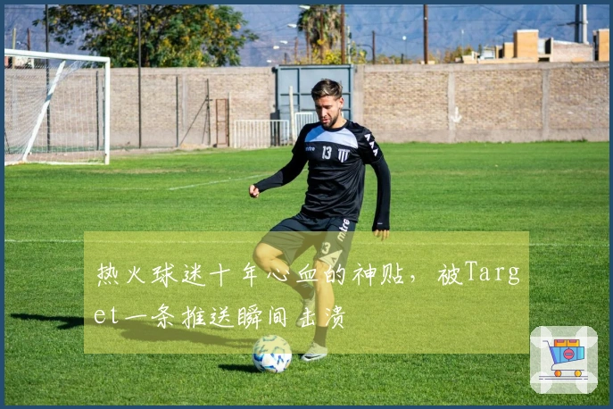 热火球迷十年心血的神贴，被Target一条推送瞬间击溃