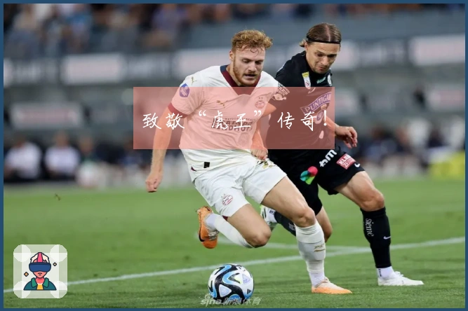致敬“虎王”传奇！