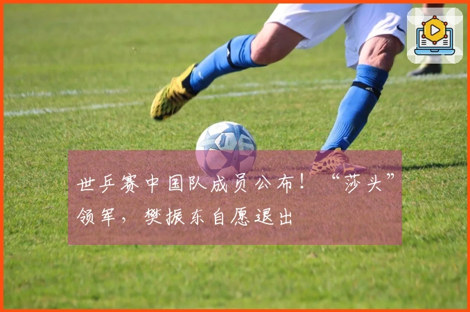 世乒赛中国队成员公布！“莎头”领军，樊振东自愿退出